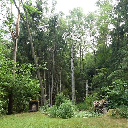 Ferienwohnung Niemann In Lutterloh Unterluss Екстериор снимка