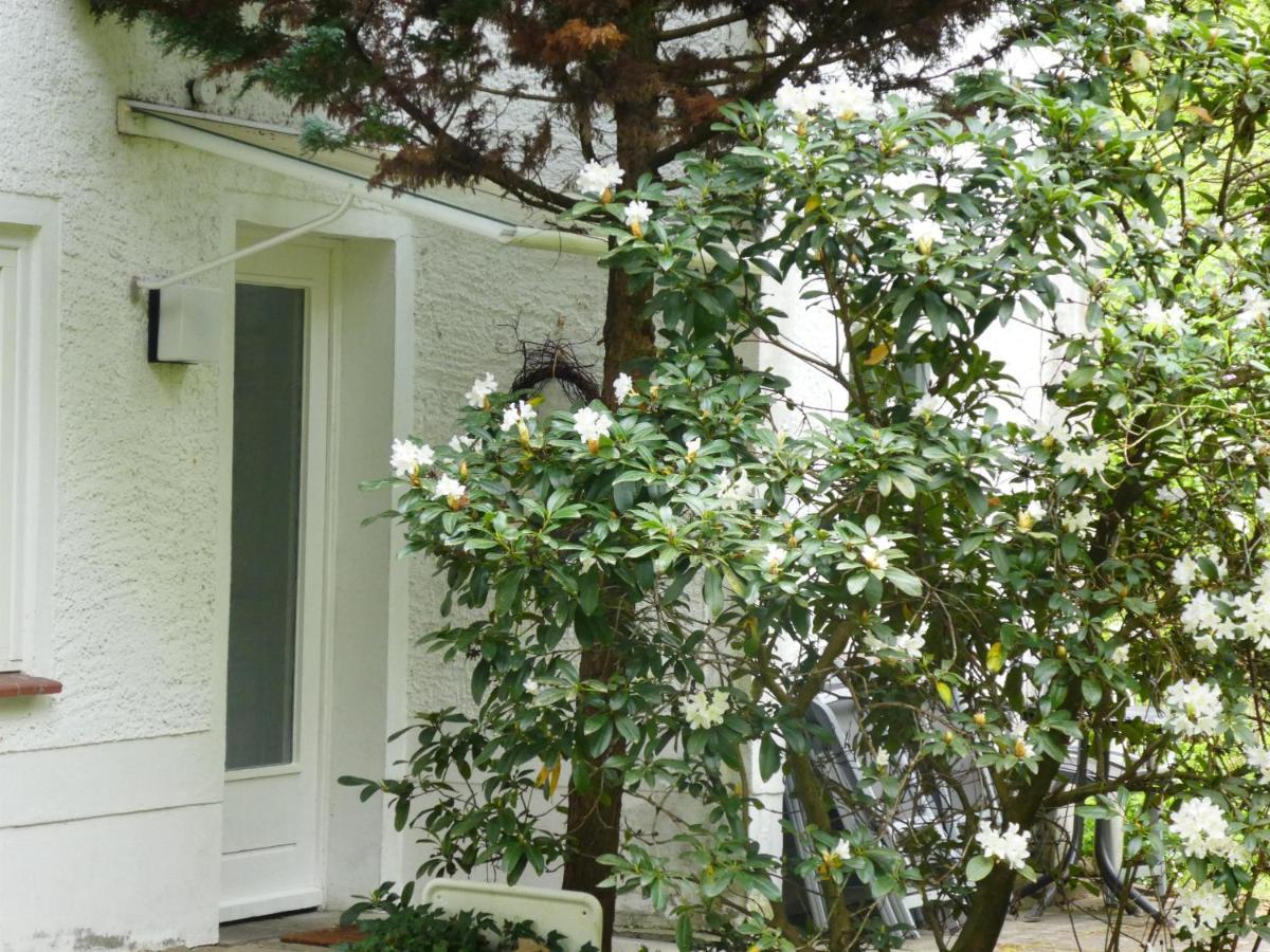 Ferienwohnung Niemann In Lutterloh Unterluss Екстериор снимка
